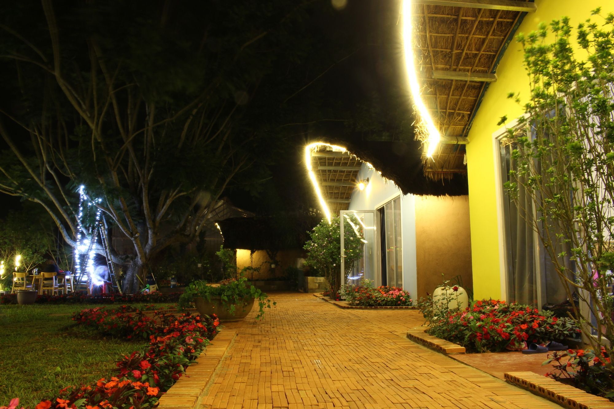 Cocoon Bungalow Da Lat Zewnętrze zdjęcie